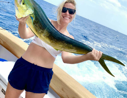 Charter Fishing in West Palm Beach